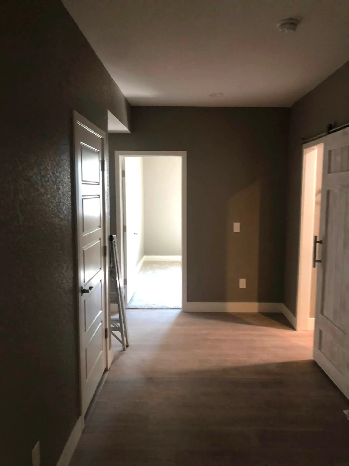 Hallway painted warm greige with white doors and trim